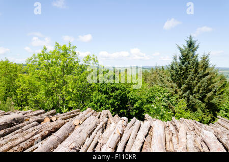 Silvicoltura registri legno Exmoor Devon Foto Stock