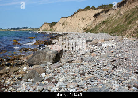 Spiaggia rocciosa e scogliere moreniche a Voderup Klint sull'isola di Ærø, Danimarca. Ærø è una delle isole danesi del Mar Baltico e parte del sud Foto Stock