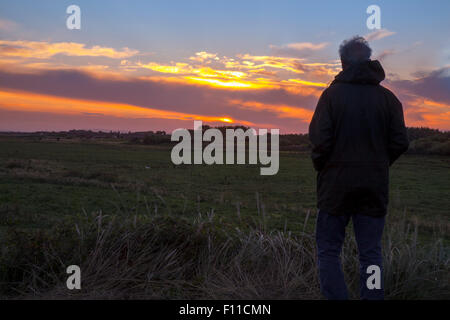 Southport, Merseyside Regno Unito 25 agosto, 2015. Regno Unito Meteo. Giornata di sole nella prospettiva di RSPB Riserva Naturale, Marshside. Credito: MarPhotographics/Alamy Live News. Foto Stock