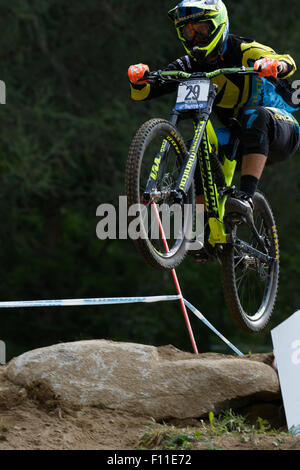 La Val di Sole, Italia - 22 August 2015: Bergamont componenti Hayes Factory Team rider Masters Edward, in azione durante la mens elite in discesa finale della Coppa del Mondo a Uci Mountain Bike in Val di Sole, Trento, Italia Foto Stock