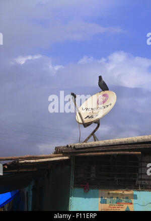 Agosto 21, 2015 - Mumbai, Maharshtra, India - 21 ago 2015 - Mumbai - India:.Una delle baraccopoli di Mumbai con TV Antenna Parabolica..In un mercato emergente & economia in crescita la baraccopoli in città indiane sono l'accesso alla televisione antenne paraboliche in un grande modo. La televisione è molto popolare in India con Daily Soap,News & Cricket trasmette all'avanguardia..Indian Television i produttori di hardware sono specificamente lo sviluppo a basso prezzo per set di guai i poveri nelle zone urbane dove il potenziale di crescita è fenomenale. (Credito Immagine: © Subhash Sharma via ZUMA filo) Foto Stock