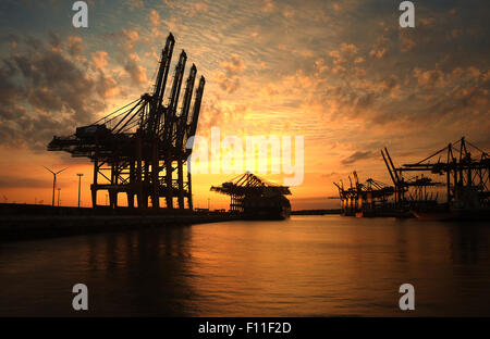 Gru da carico al tramonto nel porto Waltershofer, Amburgo, Germania Foto Stock