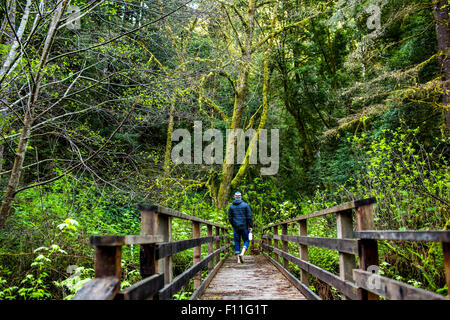 Escursionista caucasica camminando sul ponte di legno nella foresta Foto Stock