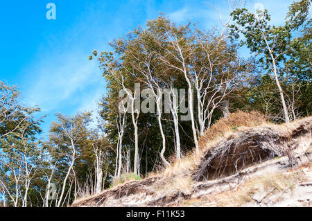 Paesaggio marino - Polacco central coast beach Foto Stock