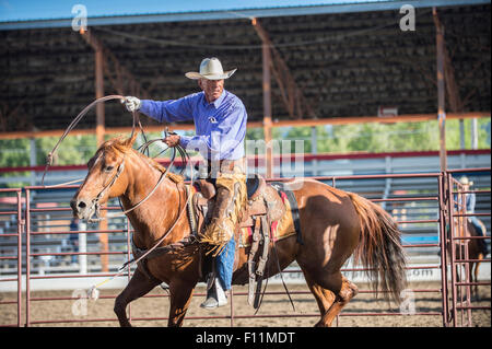 I vecchi cowboy caucasica gettando lazo al rodeo Foto Stock
