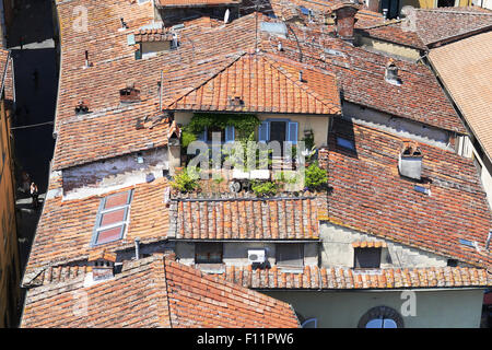 Roofgarden nella città di Lucca, Italia Foto Stock