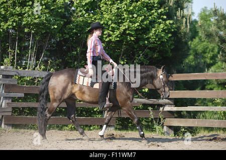American Quarter Horse donna rider bay stallion esecuzione jog Foto Stock