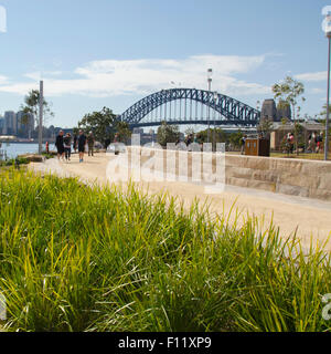 Sydney, 22 agosto 2015: Le persone che camminano su uno dei numerosi sentieri attraverso la nuova riserva del promontorio di Barangaroo aprirono per la prima volta questo giorno al pubblico Foto Stock