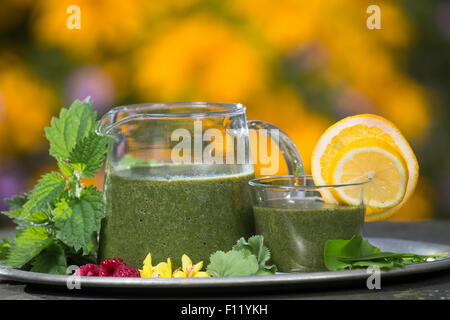 Frullato di verde, smoothie, Grüner Smoothie, Smoothy, Ganzfruchtgetränk, gesund, Gesundheit, salubrità, salute e benessere Foto Stock