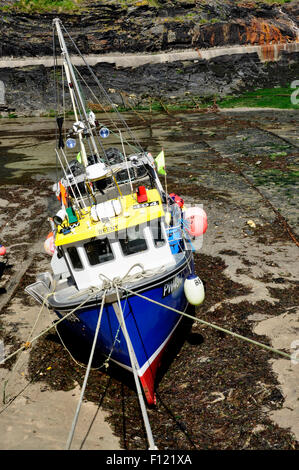 North Cornwall - Boscastle harbour - barca da pesca con la bassa marea - inclinato da un lato - testa sulla vista - angolo suggestivo - bright sun Foto Stock