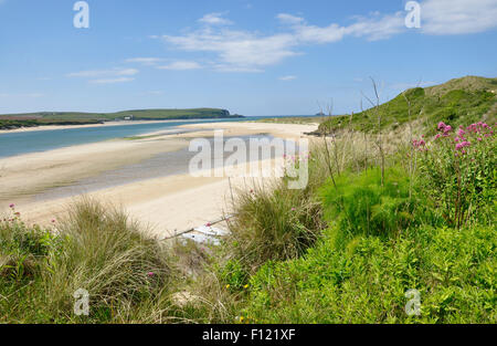 North Cornwall - estuario del fiume Camel - Vista dal Rock - a bassa marea - scogliere - sandbank - distante Stepper Point - sunshine Foto Stock