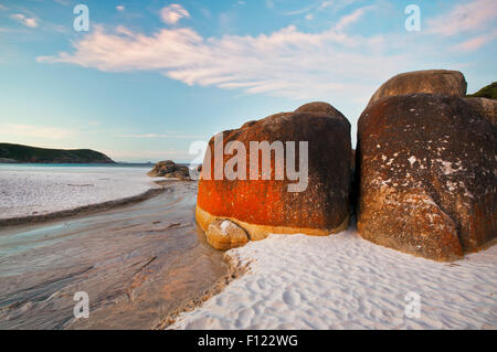 Rocce coperte di lichene a Squeaky Bay nel Wilsons Promontory National Park. Foto Stock