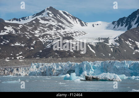 Norvegia, il Mare di Barents, Svalbard, Spitsbergen, Northwest Spitsbergen National Park. Liefdefjord (79°31'57' N - 12°24'36' E) Foto Stock