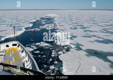 Norvegia, il Mare di Barents, Svalbard, Sjuoyane, sette isole. Northeast-Svalbard Riserva Naturale. (80°57'14' N 21°03'53' E) Foto Stock