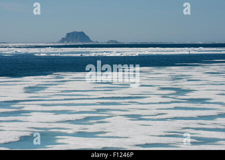 Norvegia, il Mare di Barents, Svalbard, Sjuoyane, sette isole. Northeast-Svalbard Riserva Naturale. (80°57'14' N 21°03'53' E) Pack ghiaccio. Foto Stock