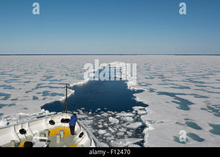 Norvegia, il Mare di Barents, Svalbard, Sjuoyane, sette isole. Northeast-Svalbard Riserva Naturale. (80°57'14' N 21°03'53' E) Foto Stock