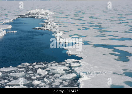 Norvegia, il Mare di Barents, Svalbard, Sjuoyane, sette isole. Northeast-Svalbard Riserva Naturale. (80°57'14' N 21°03'53' E) Foto Stock