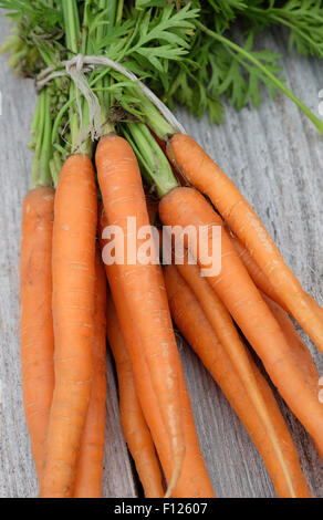 Mazzo di carote organico su weathered Tavolo da giardino Foto Stock