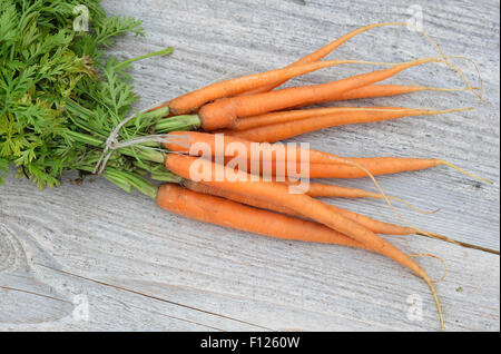 Mazzo di carote organico su weathered Tavolo da giardino Foto Stock