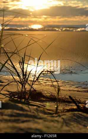 Sunrise a Waukegan Spiaggia municipale, Waukegan, Illinois Foto Stock