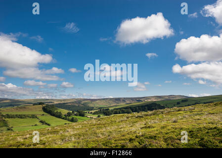 Sulle colline vicino a Glossop, Derbyshire su una soleggiata giornata estiva. Foto Stock