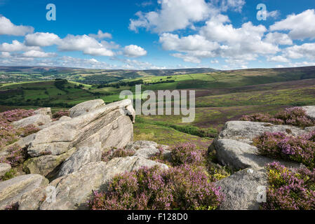 Il worm pietre vicino a Glossop nel Derbyshire. Affioramento Gritstone tra blooming heather su mori. Foto Stock