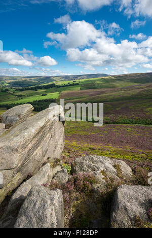 Il worm pietre vicino a Glossop nel Derbyshire. Affioramento Gritstone tra blooming heather su mori. Foto Stock