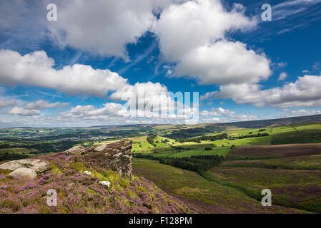 Bella giornata estiva vicino a Glossop nel Derbyshire. Una vista su gritstone rocce e brughiera coperta di edera. Foto Stock