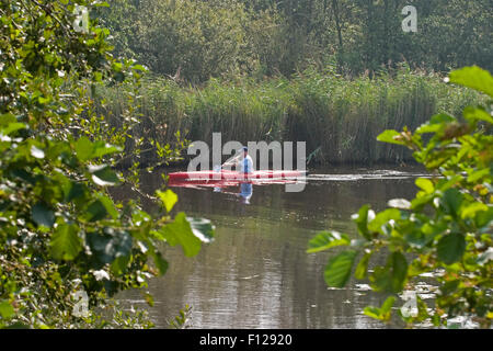 Una zona denominata 'de weerriben' sviluppato da antiche torbiere, ora un posto bellissimo con un sacco di canali (zona umida) Foto Stock