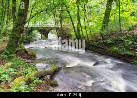 Un ponte sul fiume Bedalder a Warleggan su Bodmin Moor in Cornovaglia, noto anche come il fiume Warleggan Foto Stock