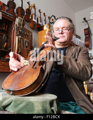 Berlino, Germania. 21 Ago, 2015. Liutaio Florian Friedrich Lehmann si inserisce un ponte per uno strumento che necessitano di riparazione presso la sua officina a Berlino, Germania, 21 agosto 2015. Il 57-anno-vecchio ha circa 200 strumenti restaurato in vendita presso la sua officina in Berlin-Mitte. Foto: Wolfgang Kumm/dpa/Alamy Live News Foto Stock