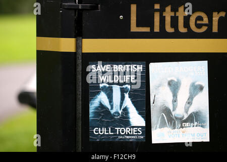 Un poster di protesta di supporto Wildflife britannico in relazione alla Badger cull nel sud ovest dell'Inghilterra. Questo è legato alla diffusione della BTB a bestiame. Foto Stock