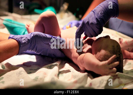 Per i primi minuti di vita del neonato ragazza Foto Stock