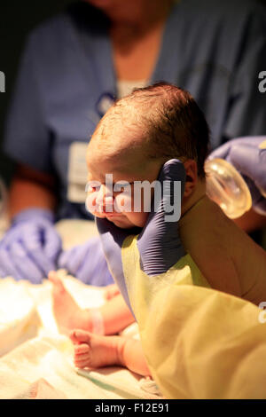 Per i primi minuti di vita del neonato ragazza Foto Stock