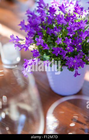 Bicchieri di vino sono stabiliti per i membri di un' Cena presso Roblar Cantina Santa Ynez Valley, California Foto Stock