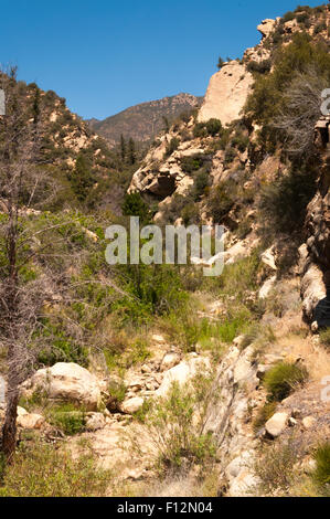 Potrero Giovanni sentiero a Los Padres National Forest Foto Stock