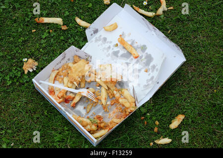 Scartata la casella di fast food sulla terra. Foto Stock