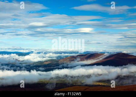 Glenmore Forest Park da Cairn Gorm, Cairngorm National Park, Badenoch & Speyside Foto Stock