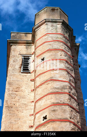 St Martins Chiesa - Cattedrale vicino.La maggior parte della chiesa è stato ristrutturato tra il 1420 e il 1455, tra cui la finestra occidentale,exeter, Foto Stock