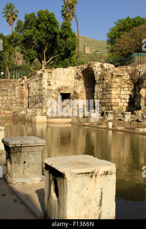 Israele, il frigidarium, una piscina con acqua fredda in antiche terme romane di Hamat Gader Foto Stock