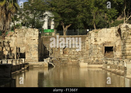 Israele, il frigidarium, una piscina con acqua fredda in antiche terme romane di Hamat Gader Foto Stock