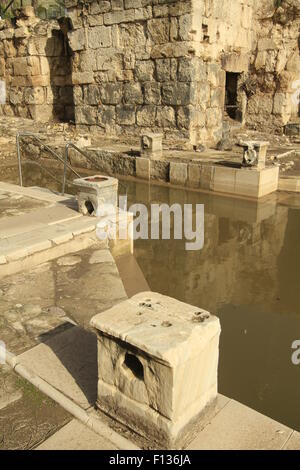 Israele, il frigidarium, una piscina con acqua fredda in antiche terme romane di Hamat Gader Foto Stock