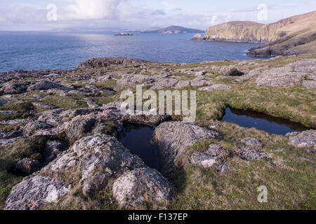 Sulla scogliera cime dell'isola di Mingulay, Ebridi Esterne, Scozia Foto Stock