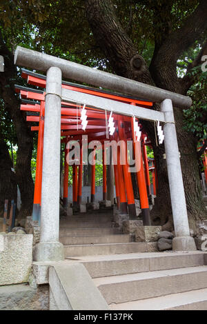 Torii Gate a Tokyo Foto Stock