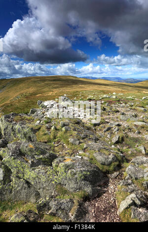 Estate, vertice Cairn di luccio Kidsty cadde, Parco Nazionale del Distretto dei Laghi, Cumbria, Inghilterra, Regno Unito. Kidsty Pike caduto è uno dei 214 Foto Stock