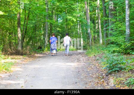 Due vecchie womans nordic walking attraverso il percorso di foresta. Summertime foresta con due signore a piedi.