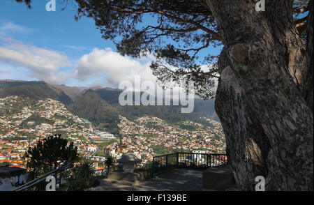 Vista del paesaggio di Funchal, la capitale di Madeira, Portogallo, Europa. Foto Stock
