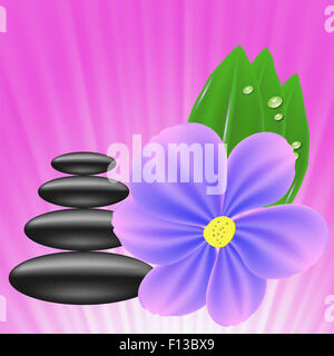 Pietre e fiore Foto Stock