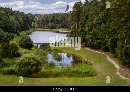 Un lago circondato da alberi, Alytus County, Lituania Foto Stock