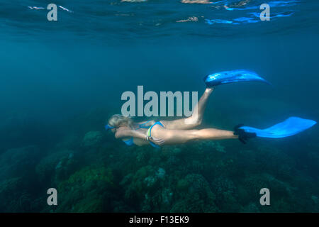 La donna lo snorkeling subacquea, Bali, Indonesia Foto Stock